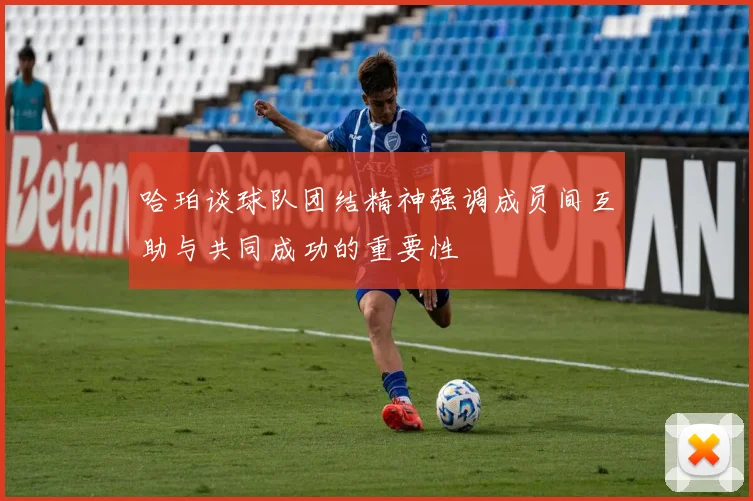 哈珀谈球队团结精神强调成员间互助与共同成功的重要性